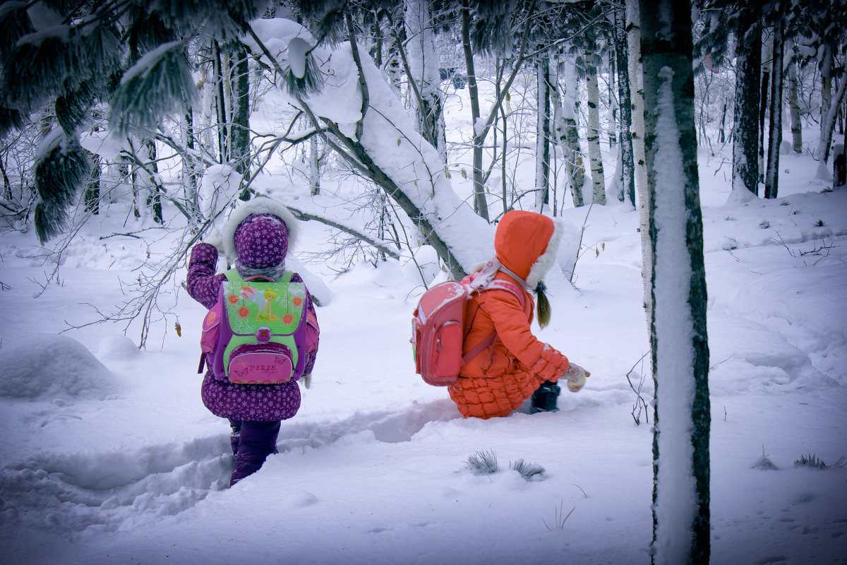Ребенок гуляет в зимнем лесу