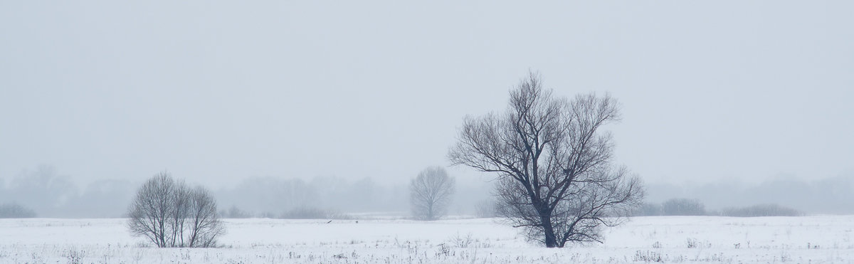 «Проект 365» (30/365) 2014-02-09 - Михаил Ермаков