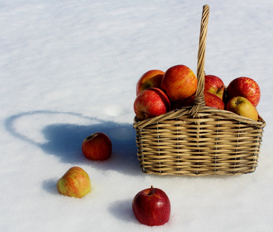 Яблоки  на  снегу... - Natalia 