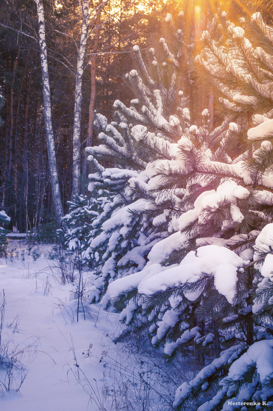 . - Крис Нестеренко