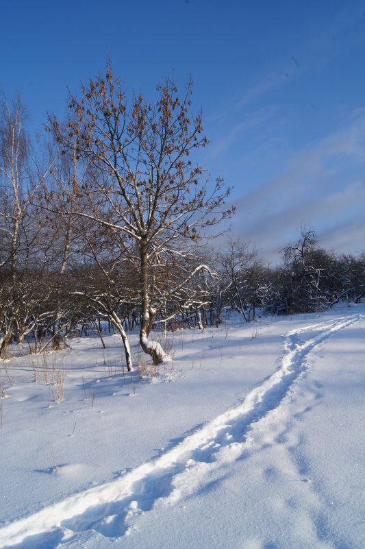 Крещение 2014г. - morgo 