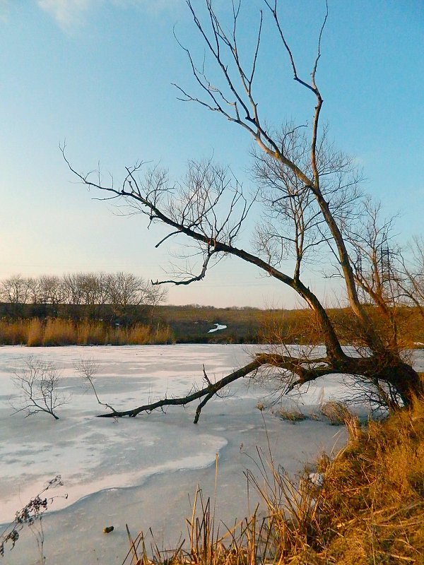 Над замерзшим прудом - Александр Бурилов