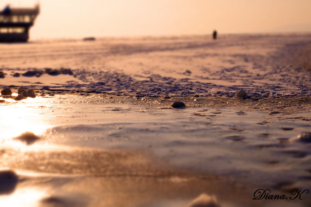 Замерзшее море - Диана 
