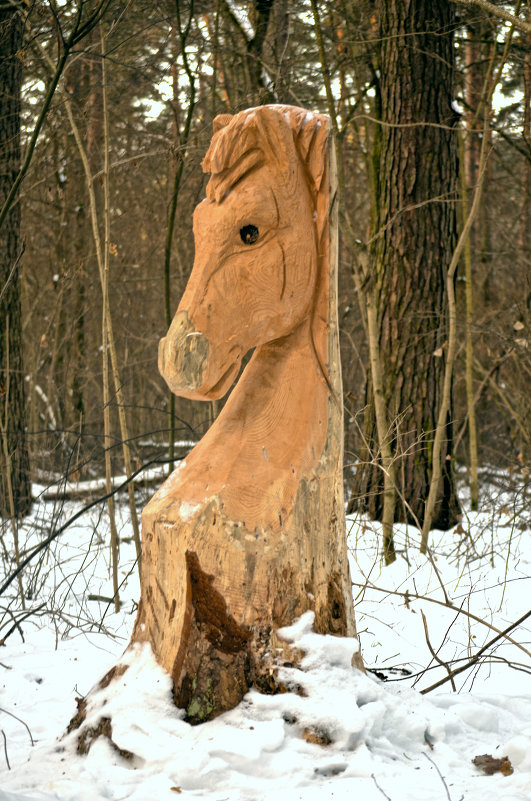 Лесной конь - Алексей Бродовой