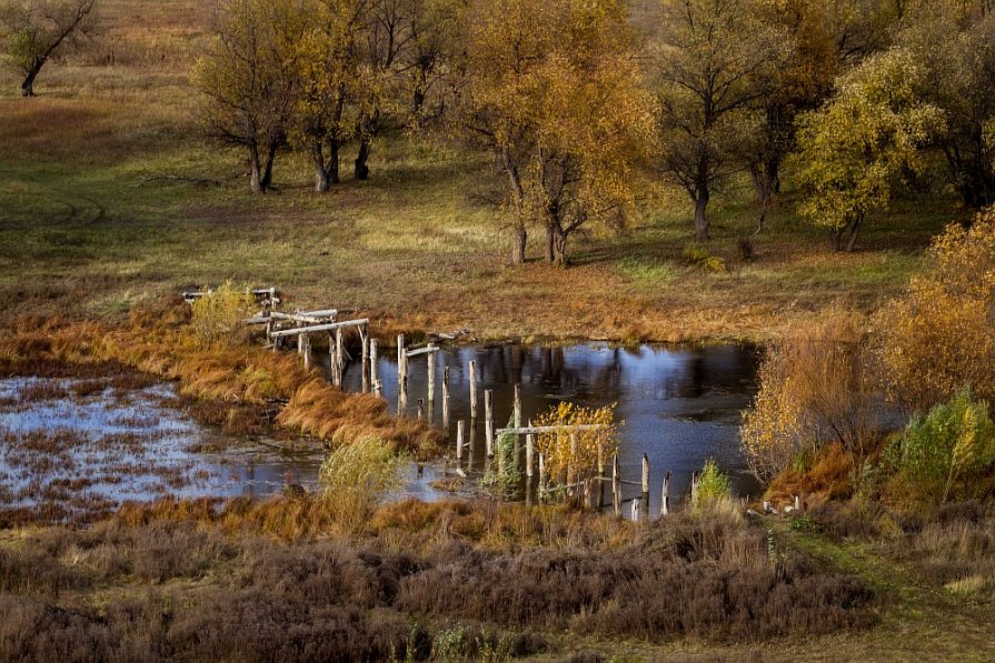 *** - Александр Руппель