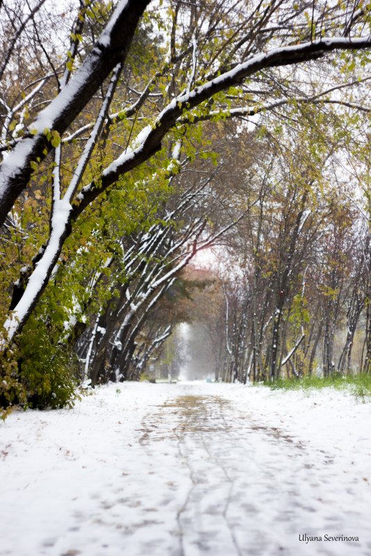Лето- зеленое, осень- рыжая, зима - белая - Ульяна Северинова Фотограф