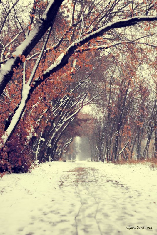 Осень и зима - встретились))) - Ульяна Северинова Фотограф