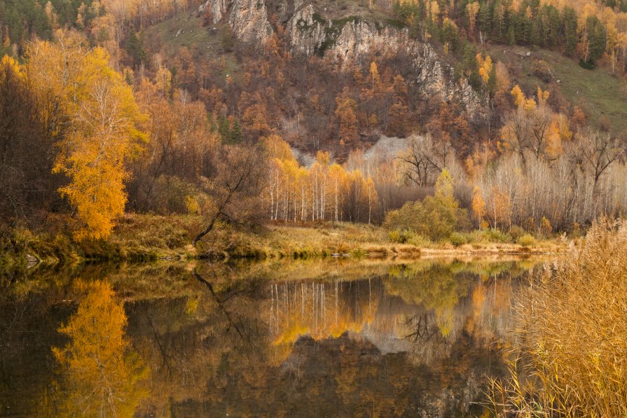 Осень - Андрей Коротнев