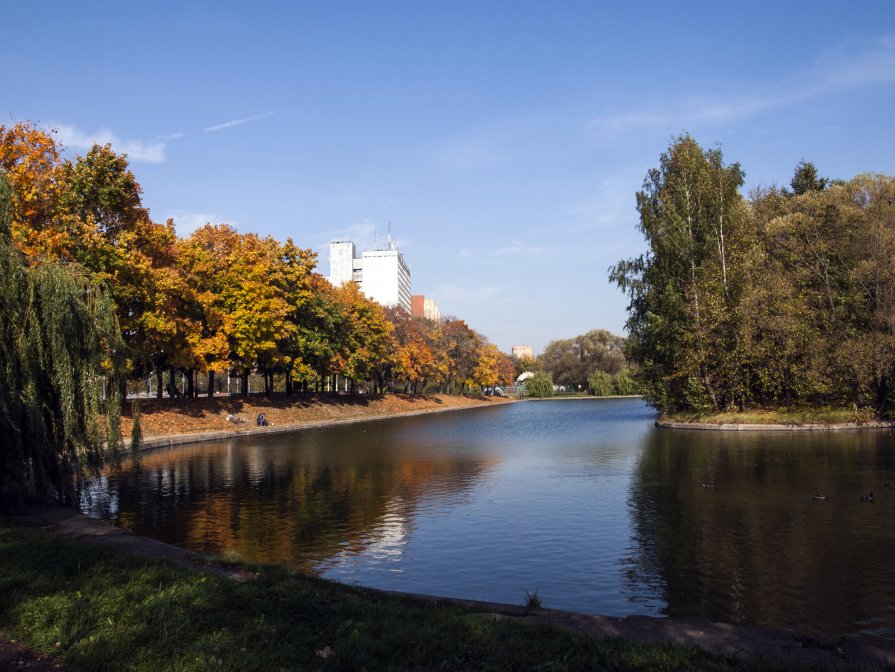 Осенний парк - Елена Годунова