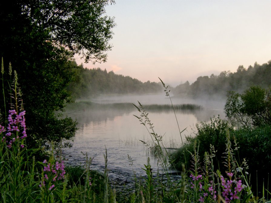 утро на реке Кеме - Андрей Чепурнов