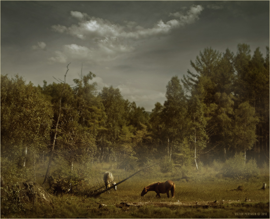 Лошади на болоте - Виктор Перякин