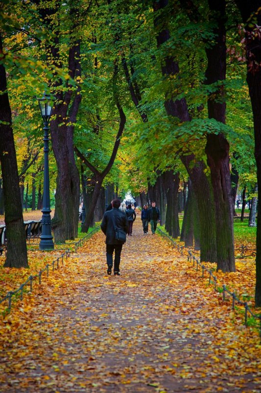 Дорога к зиме - Дмитрий Митев