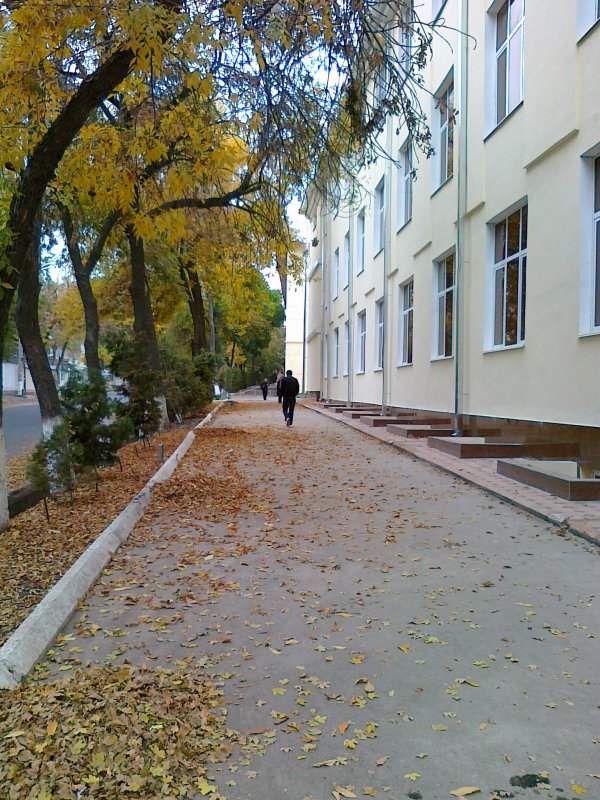 осень в Ташкенте - Дилдора Туляганова