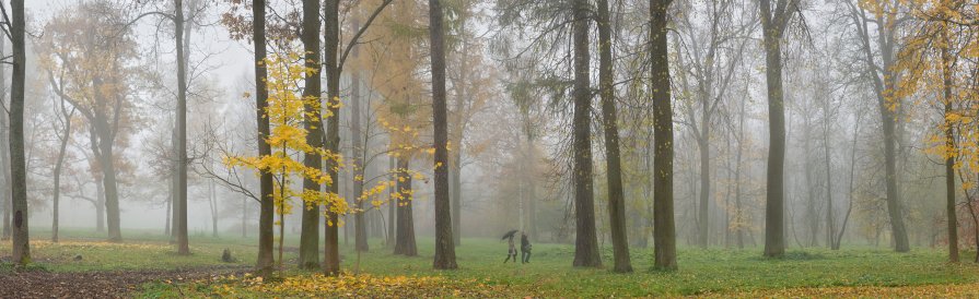 Осень в Александровском парке - Alexander Roschin
