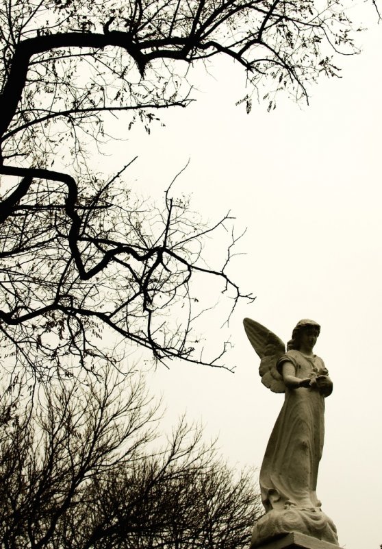 Старое кладбище - Юлия Семенихина