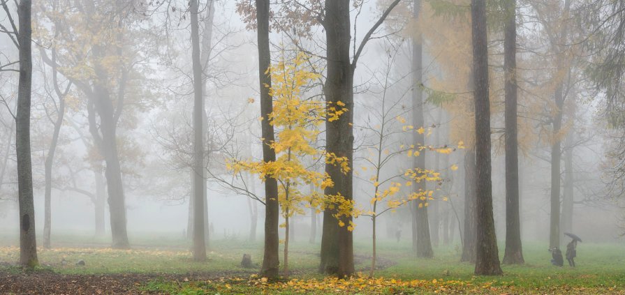 Осенняя фотосессия - Alexander Roschin
