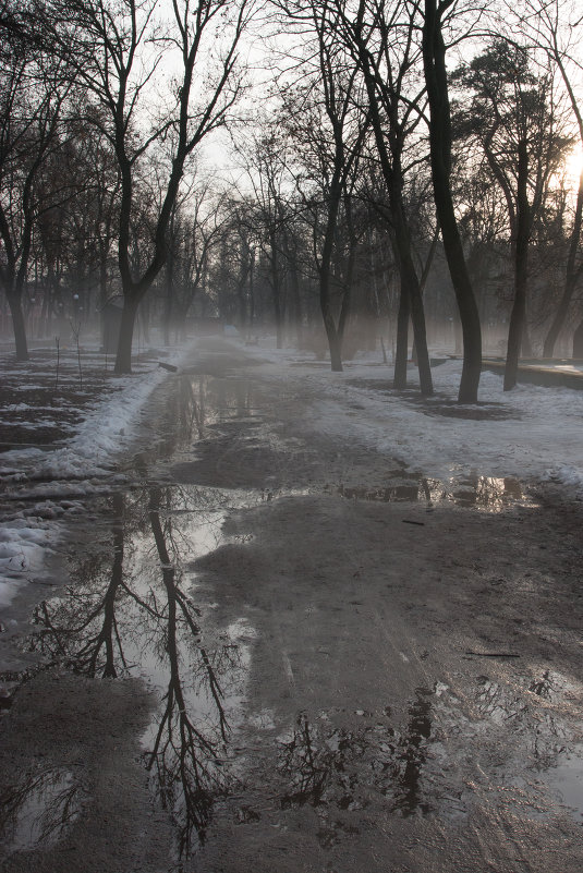 парк в дымке - Алексей Брезгалов