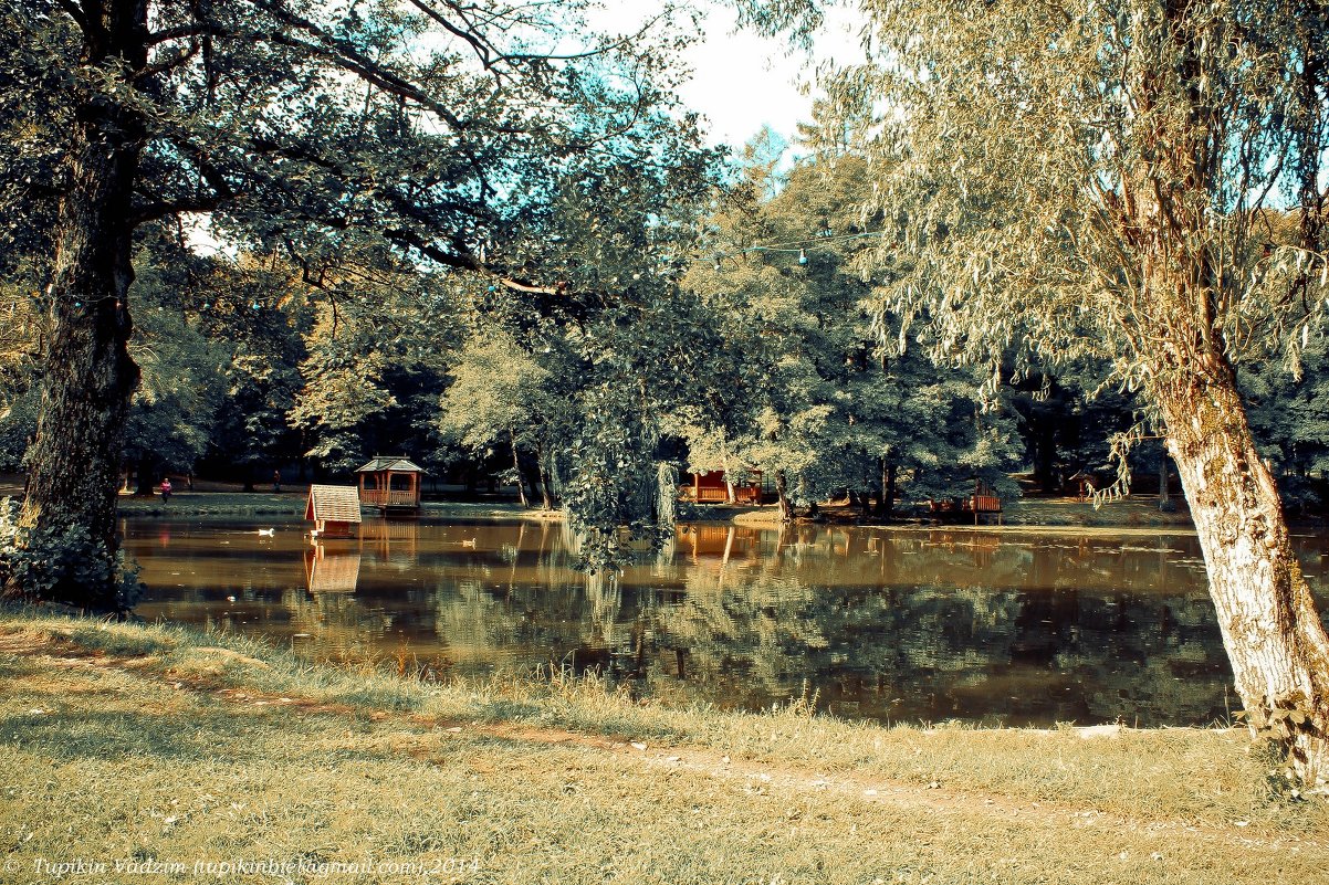 Озеро возле замка Шенборна - Vadzim Zycharby