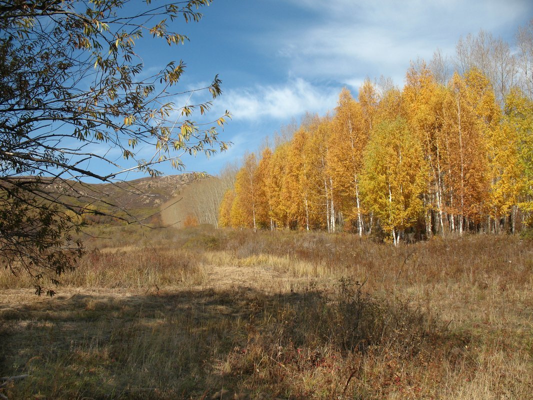 Осень - Елена Лапина