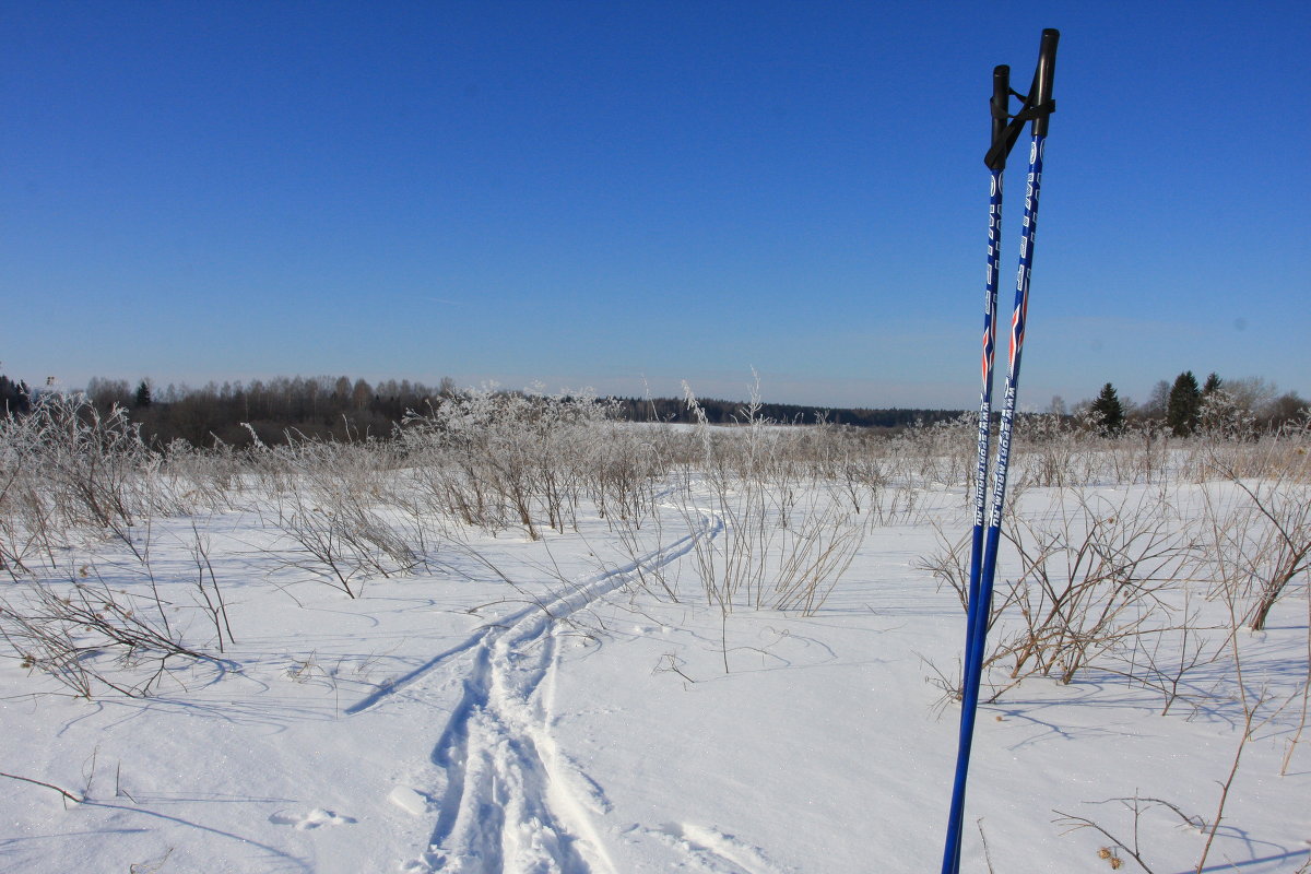 лыжная прогулка - tayler 