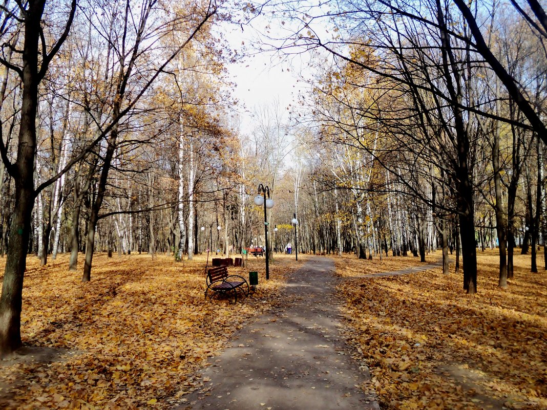 Осень в парке городском. - Ольга Кривых