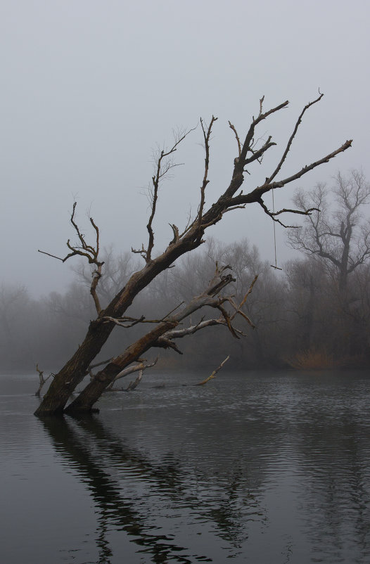 Туман на реке 2 - Валерий Тёсса