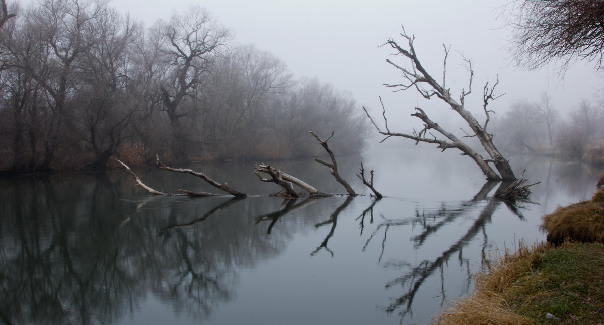 туман на реке 3 - Валерий Тёсса