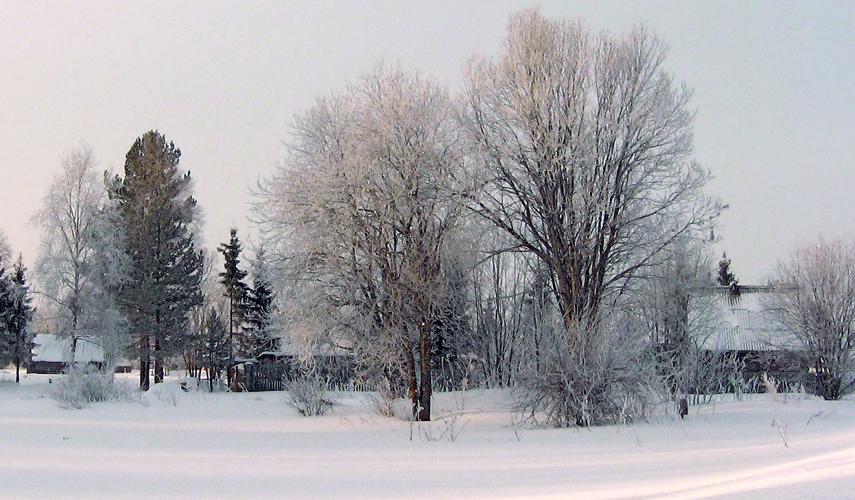 Зима, зима - Александр 