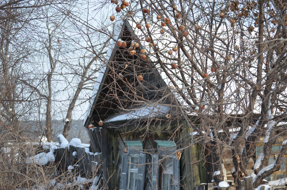 Здесь больше не живут... - Федор Чернышев