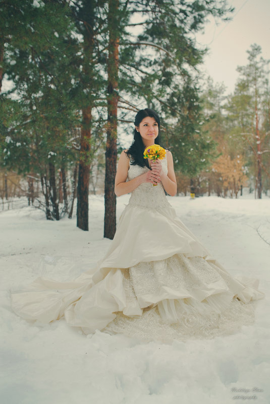зимняя невеста - Елена Нешитая