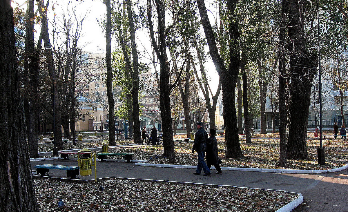Парк  в ноябре - Игорь Пляскин