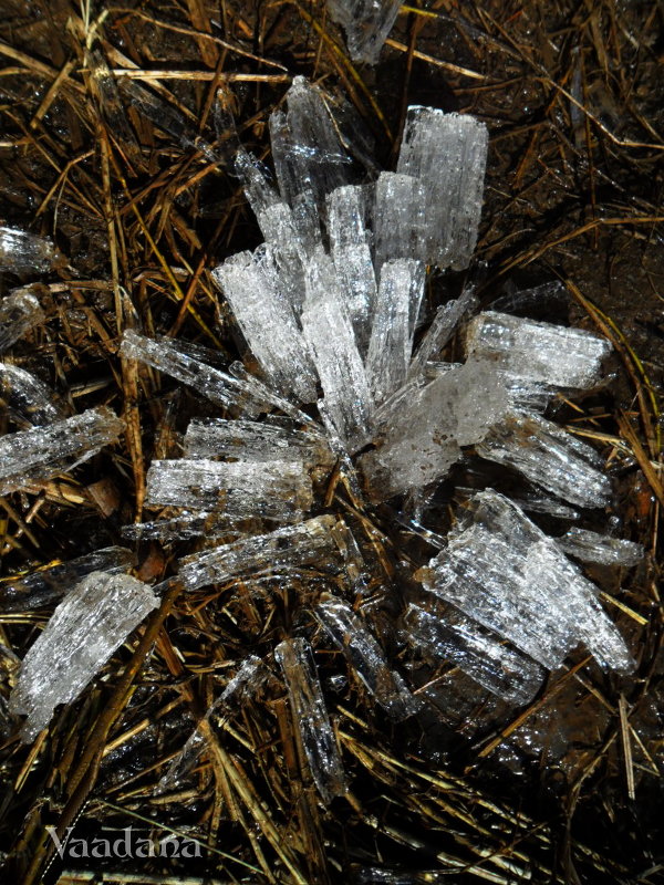 Хрупкие кристаллы - Ваадана Аар-ти