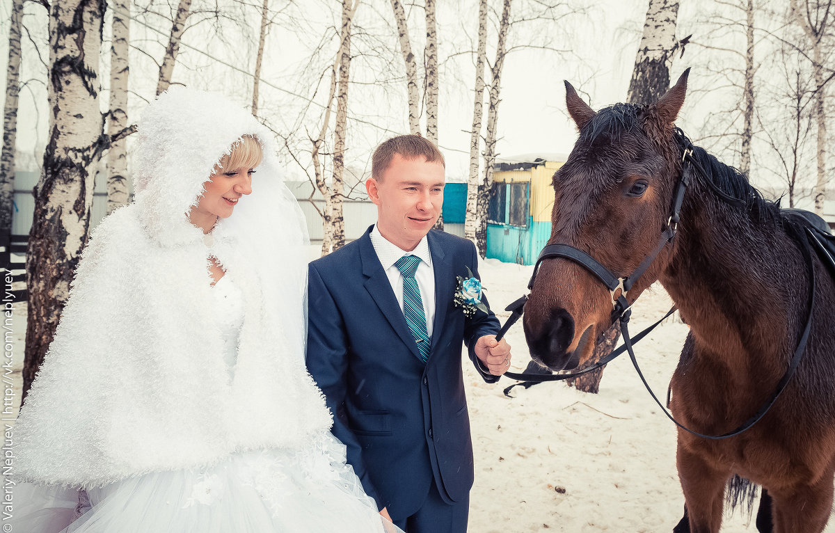 Свадьба Элана и Алены - Valeriy Nepluev