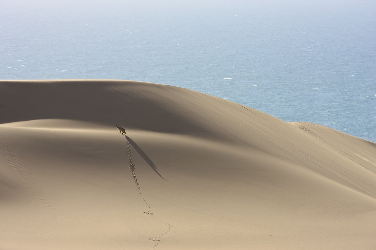 Пустыня Намибия - Олег Ранц