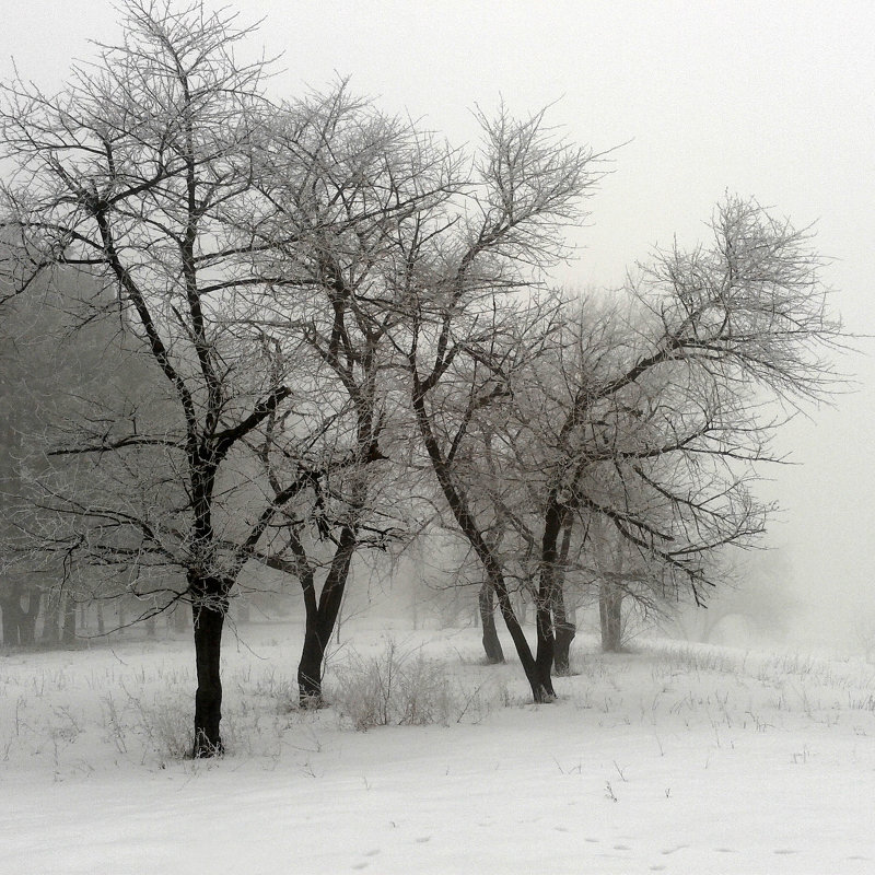 Зимний туман - Эдуард Цветков