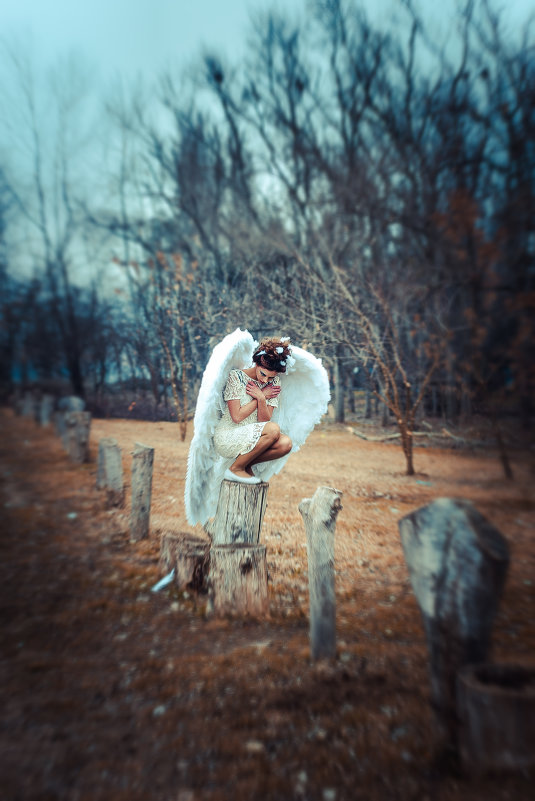 ангел - Елена Карталова