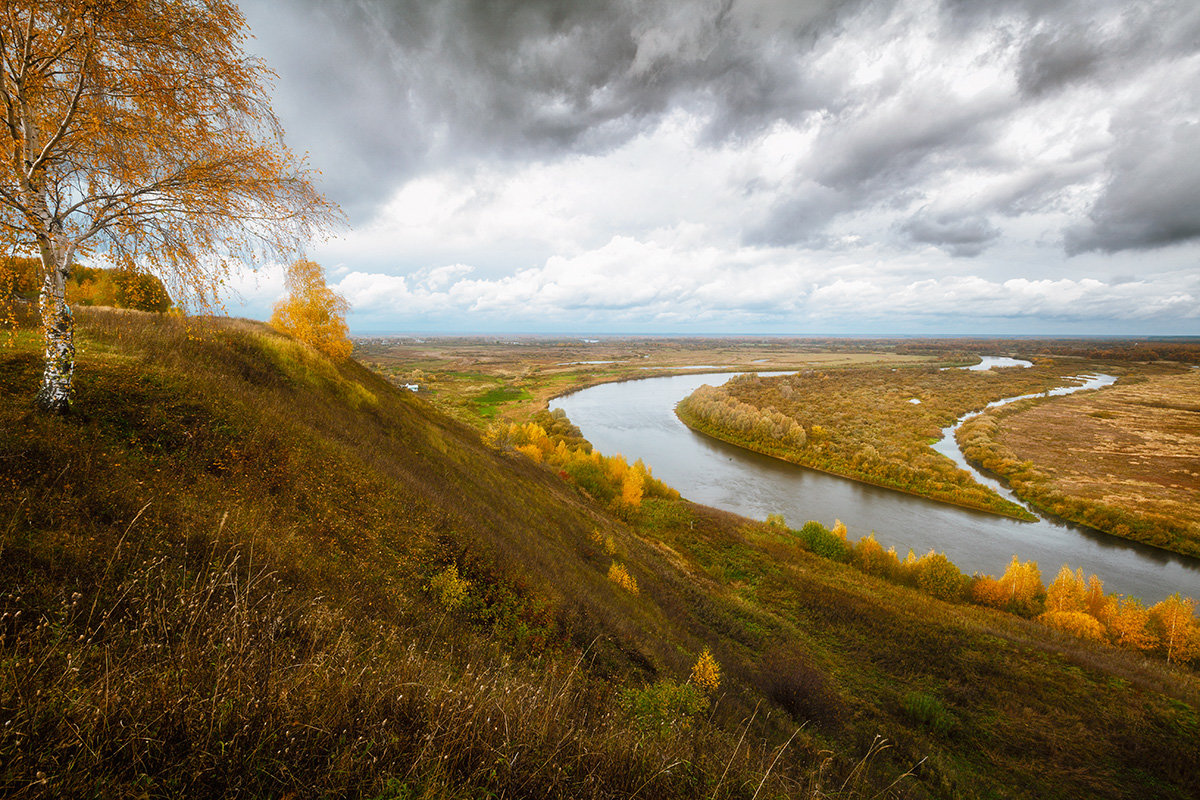 Унылая пора, очей очарованье... - Александр Никитинский