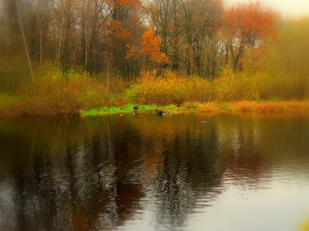 Осень на Терлецких прудах - Наталья Лакомова