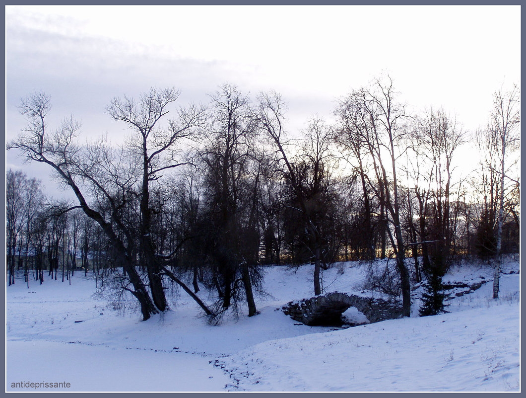 Павловск - vadim 