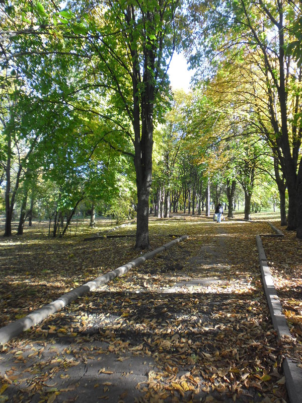 В городе осень,,, - Александр Лысенко