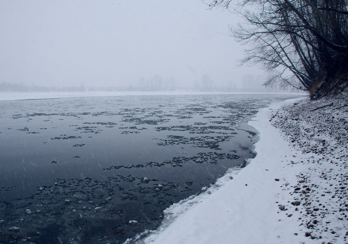 * - Николай Морский 