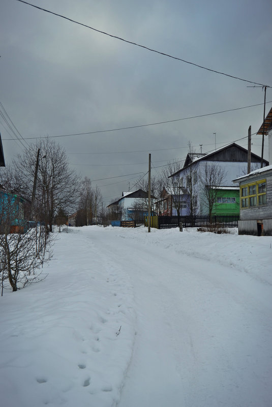 Деревня - Саша Веселова