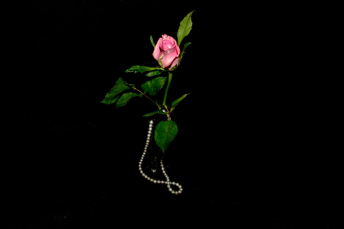 роза предметная - Екатерина Рябцева