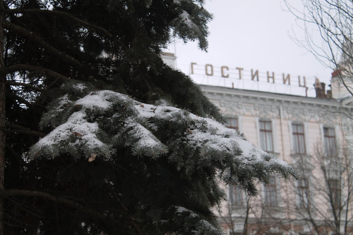 Последний снег. - Владимир 