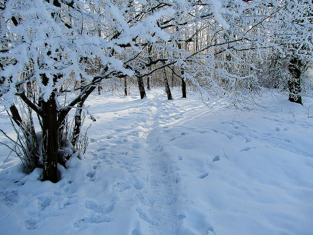 зима - юрий иванов