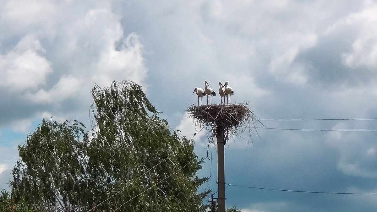 ... - Эдуард Робатень