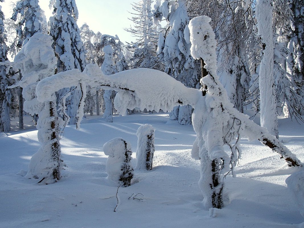 Зимние зарисовки - Анатолий Катков