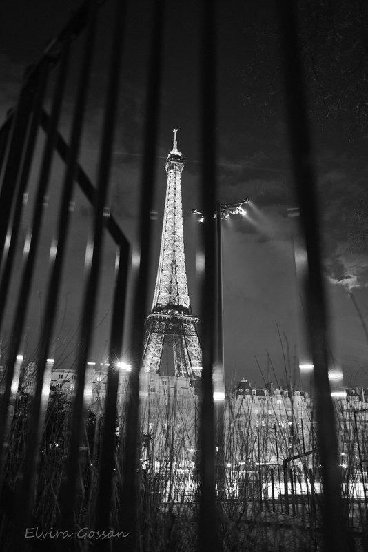 tour  d&#39;Eiffel - Elvira Martinova