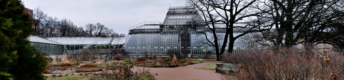Оранжерея ботанического сада - Оля Горбачёва
