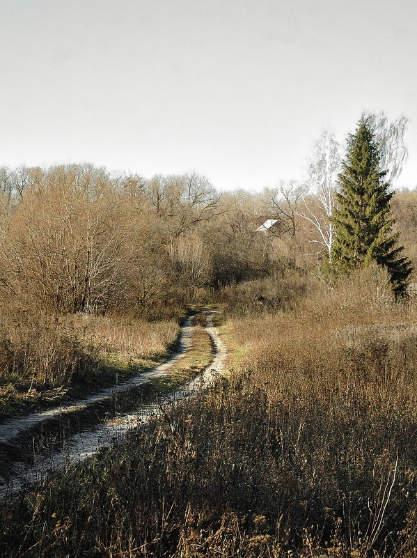 в глуши - Андрей ЕВСЕЕВ